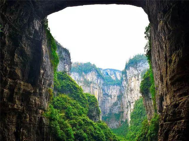 拯救红松鼠
